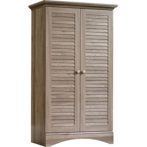 Pinellas 2 Door Storage Accent Cabinet