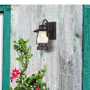 Best Caratunk 1-Light Outdoor Wall Lantern By Trent Austin Design Outdoor Lighting Caratunk 1-Light Outdoor Wall Lantern By Trent Austin Design Outdoor Lighting