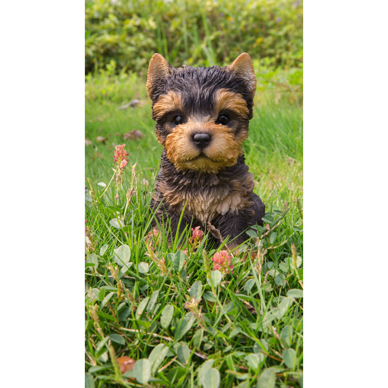 Hi Line Gift Ltd Sitting Yorkshire Terrier Puppy Statue Reviews