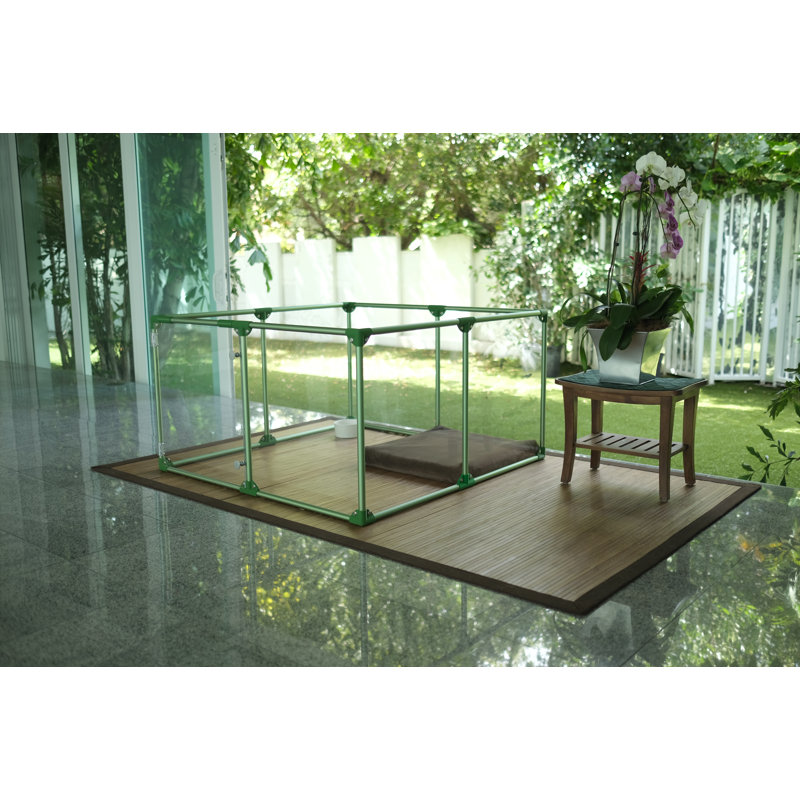 clearly loved pets lucidium pen