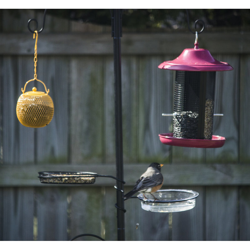 Backyard Expressions Deluxe Wild Bird Feeding Station Reviews