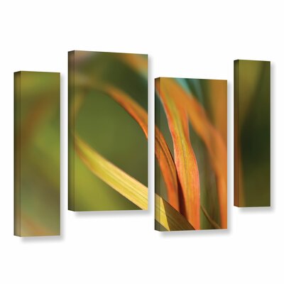 'Autumn Grass' 4 Piece Photographic Print on Wrapped Canvas Set Red Barrel Studio® Size: 36