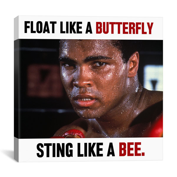 Giclee Canvas Wall Art Float Like A Butterfly Sting Like A Bee Set Art Collectibles Giclee Delage Com Br Giclee Canvas Wall Art Float Like A Butterfly Sting Like A Bee Set Art Collectibles Giclee Delage Com Br