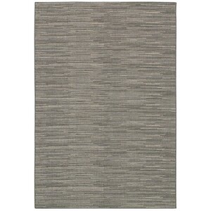 Kayden Gray Indoor/Outdoor Area Rug