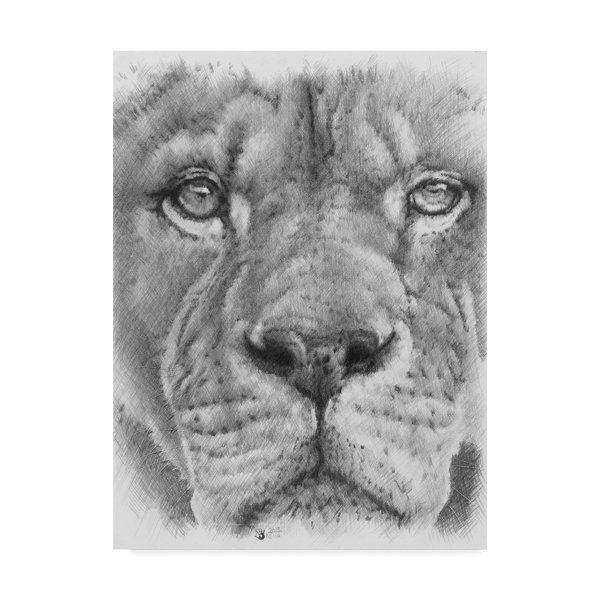 Trademark Art Up Close Lion Oil Painting Print On Wrapped Canvas