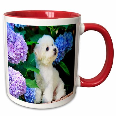 Adorable Bichon Frise Puppy Among Hydrangeas Coffee Mug East Urban Home Color: Red, Size: 3.75