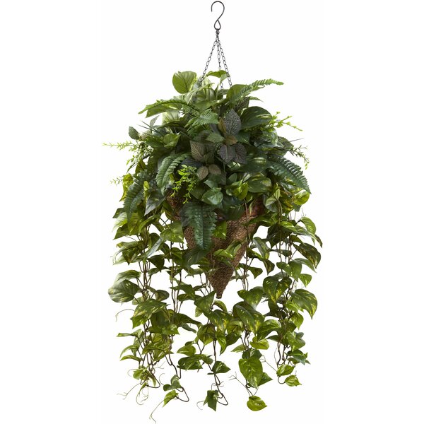 Nearly Natural Vining Mixed Greens Hanging Plant in Basket & Reviews ...