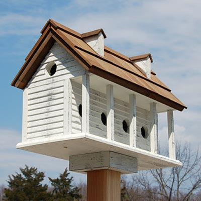 Bird Houses You'll Love in 2019 Wayfair