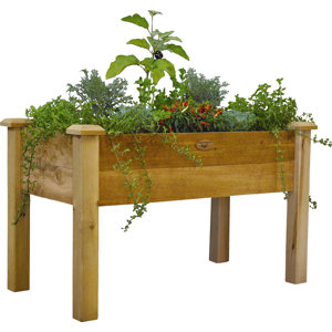 4 ft x 2 ft Cedar Raised Garden