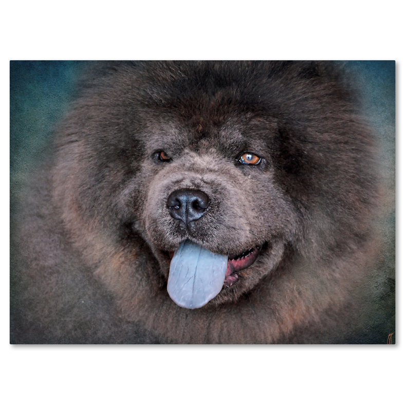 chow chow art