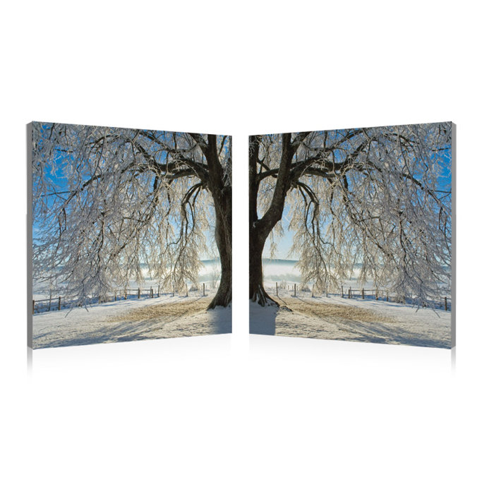 Latitude Run Winter Tree Photographic Print Multi Piece Image On