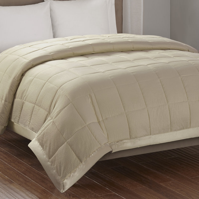 Alcott Hill Friedens Premium Oversized Down Alternative Blanket