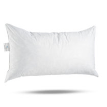 16 by 26 pillow insert