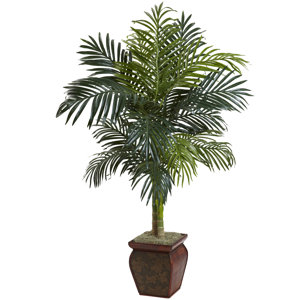 Palm in Decorative Vase