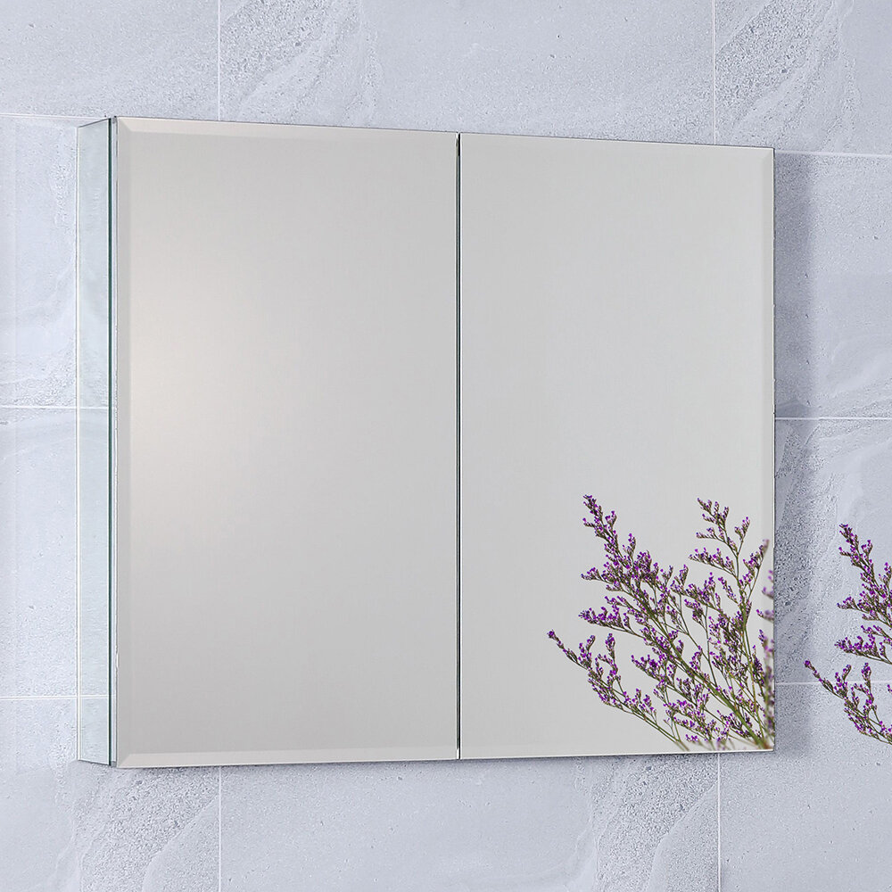 Latitude Run Double Sided Mirror Door 30x26 Inch With Adjustable Shelves Wayfair