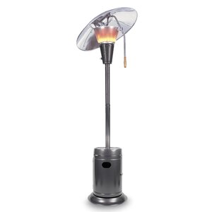 Heat Focus 38,200 BTU Propane Patio Heater