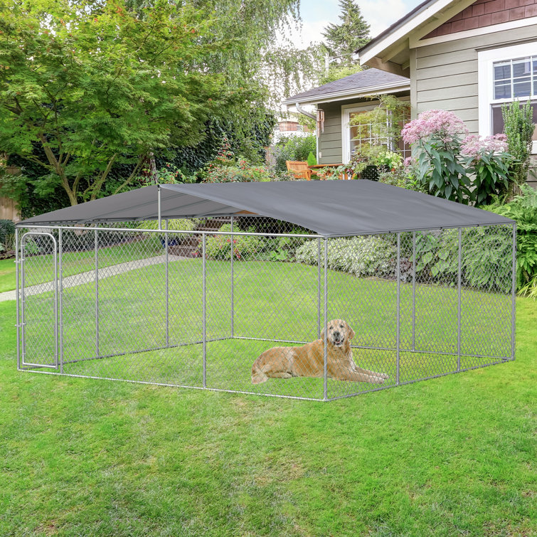 wayfair outdoor dog kennel