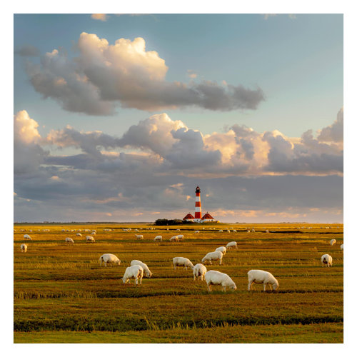 North Sea Lighthouse with Herd of Sheep 2.88m x 2.88m Embossed Matte Peel & Stick Wall Mural East Urban Home