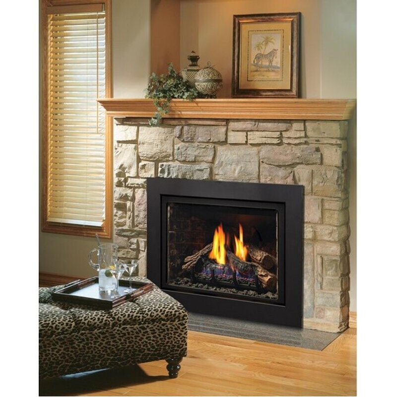 Kingsman Fireplaces Direct Vent Natural Gas/Propane Fireplace Insert ...