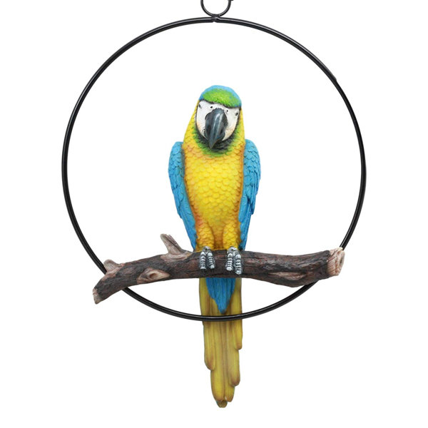 Hanging Parrot Wayfair Hanging Parrot Wayfair
