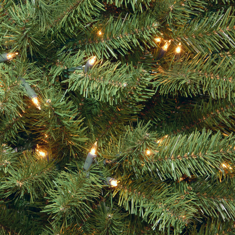 Beachcrest Home Green Spruce Artificial Christmas Tree With White