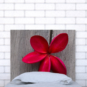 Upholstered Panel Headboard by Noyo Home