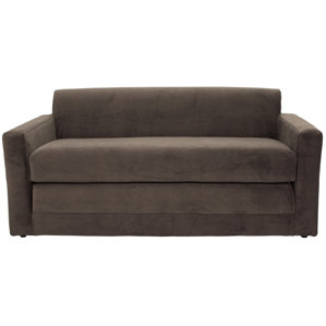 Wrought Studio Pardue Sleeper Loveseat Wrought Studio Pardue Sleeper Loveseat