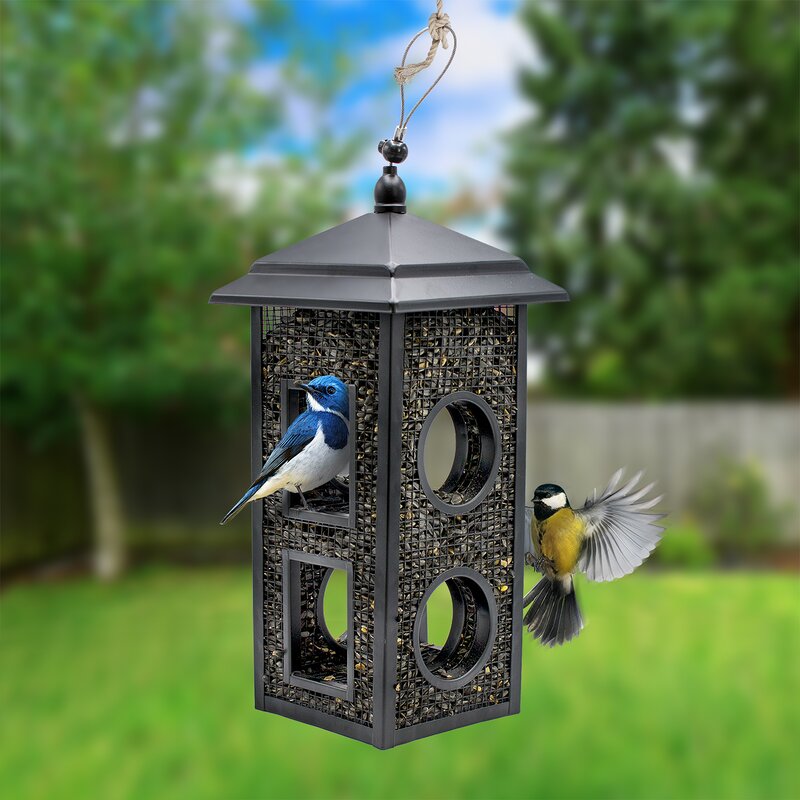 Sorbus Treehouse Tube Bird Feeder Reviews Wayfair