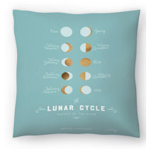 robins egg blue pillows