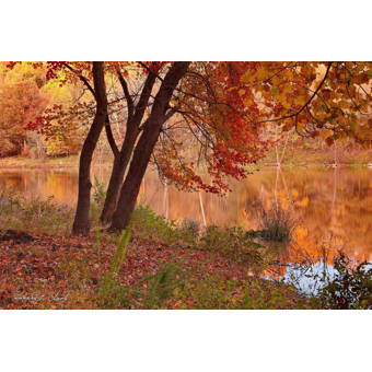 Alcott Hill Autumn At Lake Needwood Acrylic Painting Print On Canvas Wayfair