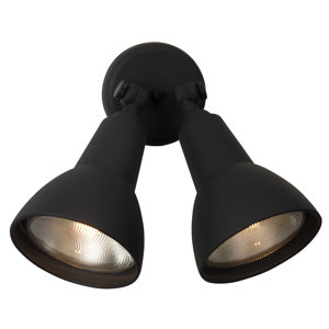 Oakhill 2-Light Flood Light