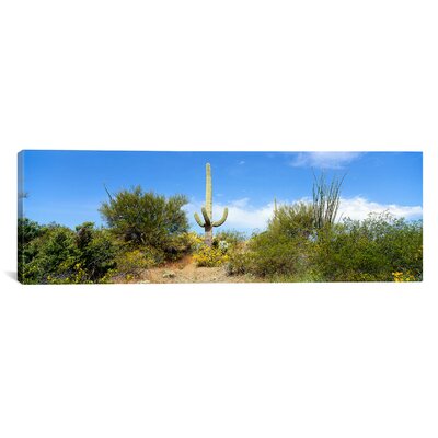 Panoramic Tucson, Arizona Photographic Print on Canvas Ebern Designs Size: 12