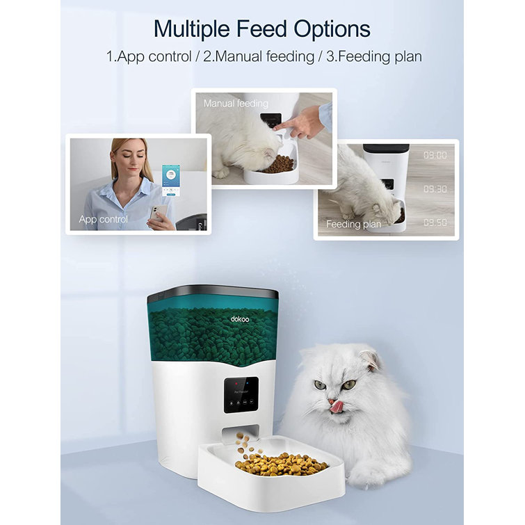 dual automatic cat feeder