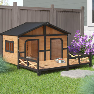 Wayfair Extra Large Dog Houses