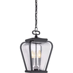 James 3-Light Outdoor Hanging Lantern