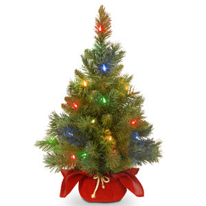 Majestic Spruce Cloth Bag Tree with 35 Battery Operated LED Light