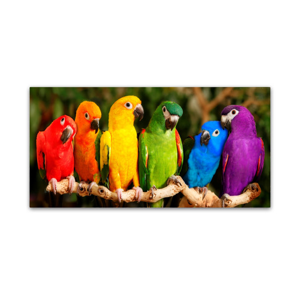 Rainbow Gorilla wall art colorful printed on canvas 30/" x 30/'/' solid frame