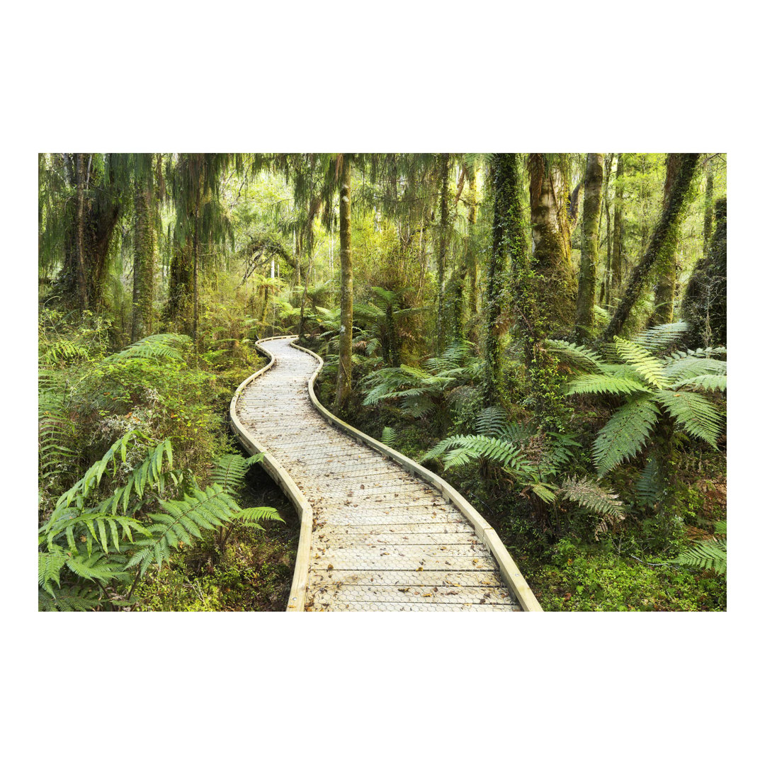 Path Through the Jungle 1.9m x 2.88m Textured Matte Peel & Stick Wall Mural