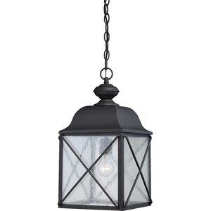 Topeka 1-Light Outdoor Hanging Lantern