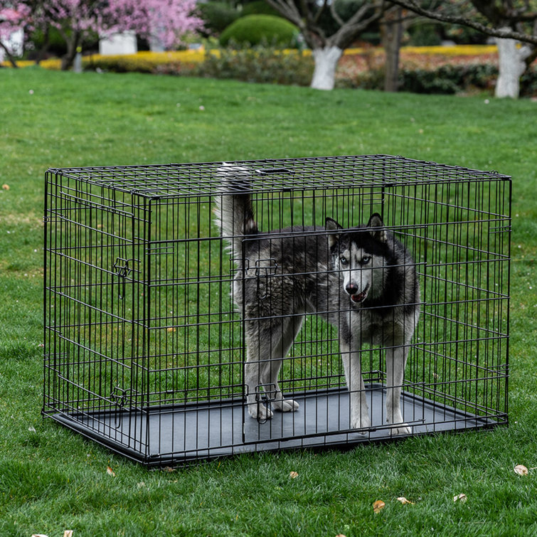 large dog crate 48