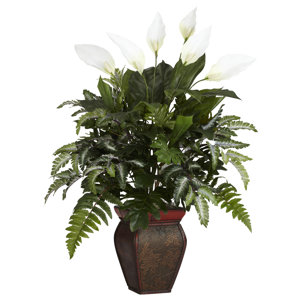 Mixed Greens Desk Top Plant in Decorative Vase
