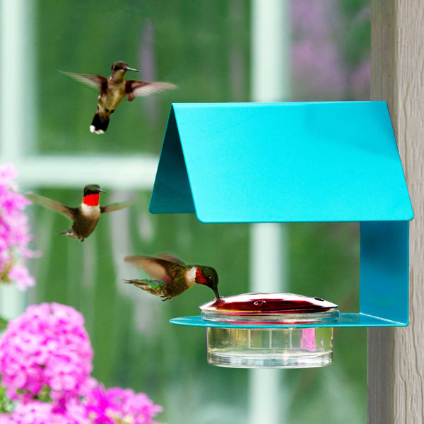 Modern Hummingbird Feeder Wayfair