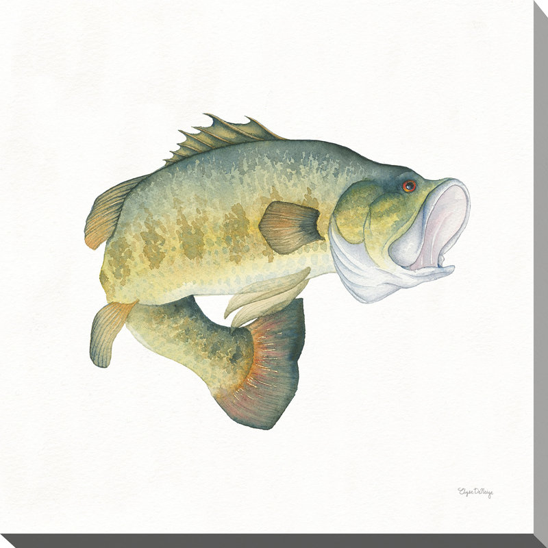 Breakwater Bay Gone Fishin Large Mouth Framed Watercolor