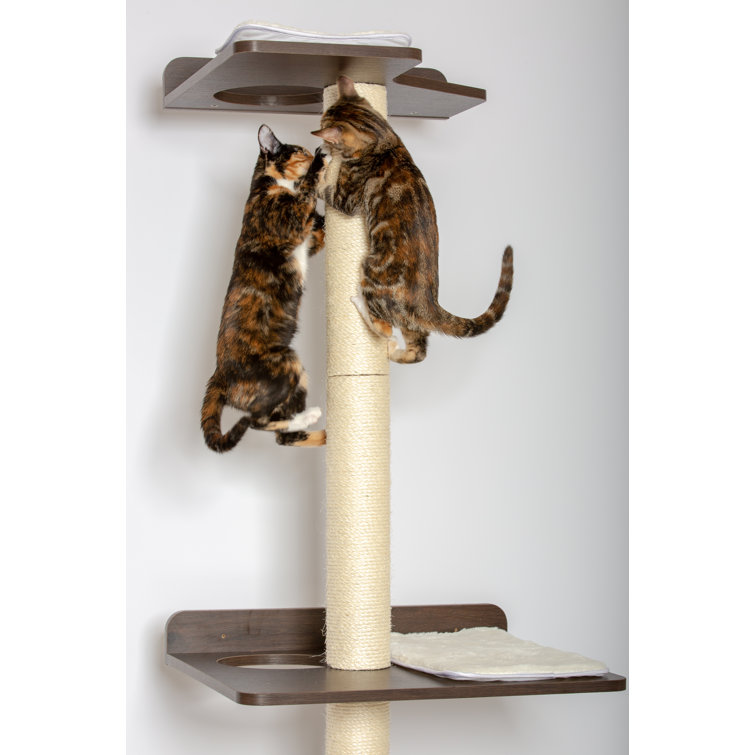 cat climbing toy
