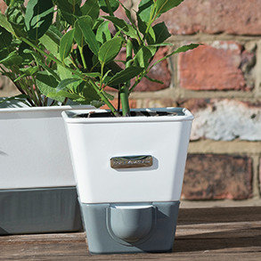 Indoor Hanging Herb Garden Wayfair