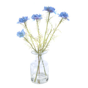 Nigella Flower in Decorative Vase
