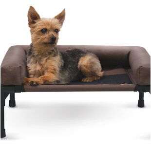 small dog beds for sale