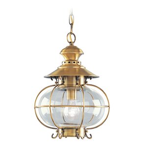 Shielo 1-Light Outdoor Hanging Lantern