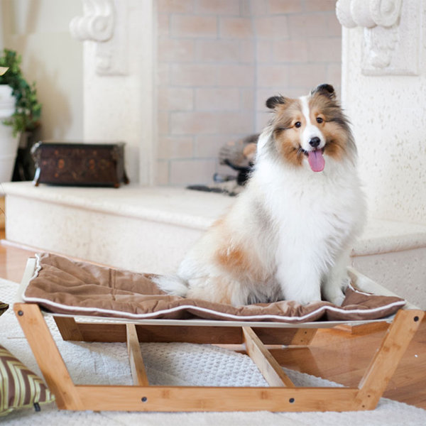 pet furniture you ll love wayfair