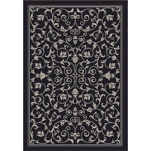 Bexton Black/Sand Outdoor Area Rug